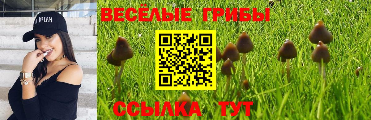 Галлюциногенные грибы GOLDEN TEACHER  где можно купить   Вход с VPN  Семилуки  Галлюциногенные грибы мицелий 