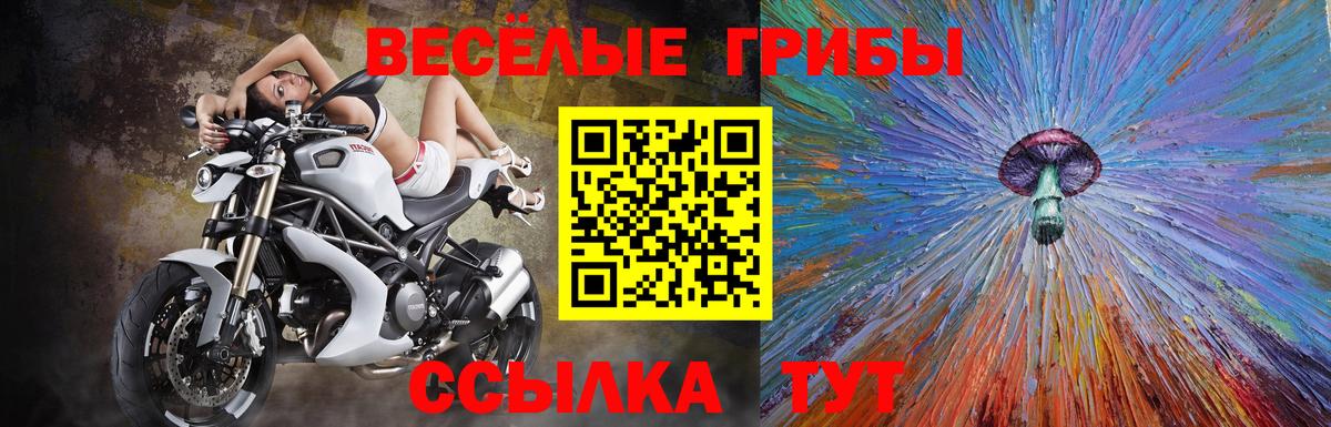 Галлюциногенные грибы Cubensis Семилуки