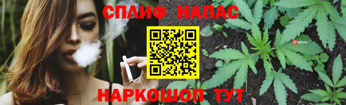 Конопля тримм  Канабис Ganja  Вход с VPN  Семилуки  МАРИХУАНА планчик 
